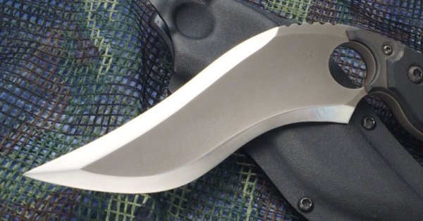 画像2: 根本朋之カスタム・ランゴスティーノ (2)