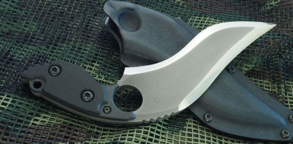 画像5: 根本朋之カスタム・ランゴスティーノ (5)