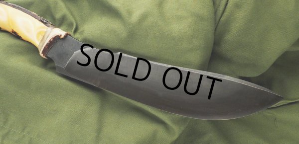 画像5: 島田英承 作／Wild Cat 8寸（30周年記念仕様#3） (5)