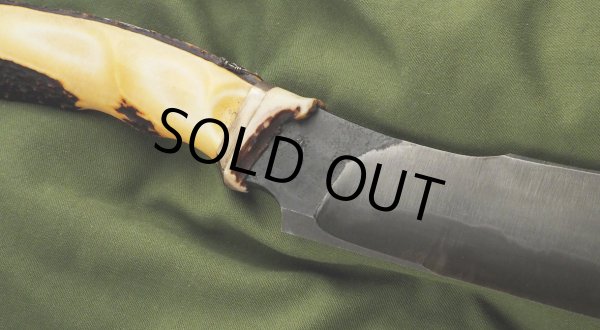 画像6: 島田英承 作／Wild Cat 8寸（30周年記念仕様#3） (6)