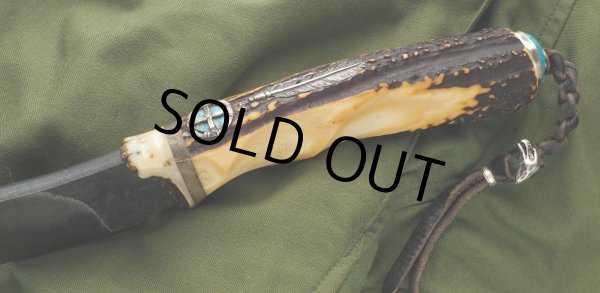 画像8: 島田英承 作／Wild Cat 8寸（30周年記念仕様#3） (8)