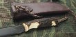 画像6: 島田英承 "Waild Cat" 7インチ・スタッグ (6)